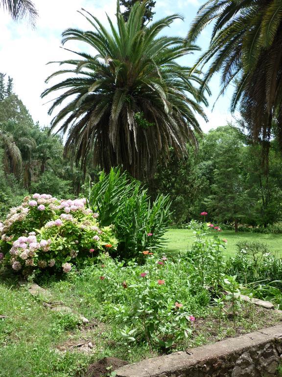 Finca La Colorada San Salvador de Jujuy Kültér fotó