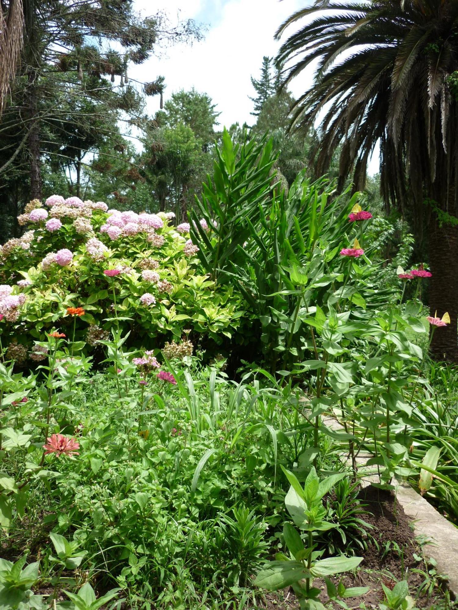 Finca La Colorada San Salvador de Jujuy Szoba fotó